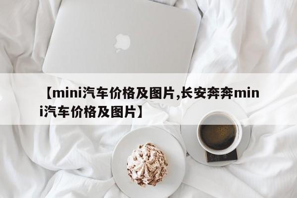 【mini汽车价格及图片,长安奔奔mini汽车价格及图片】