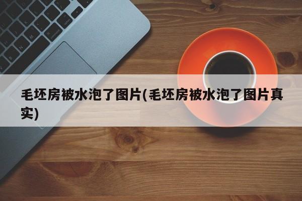 毛坯房被水泡了图片(毛坯房被水泡了图片真实)