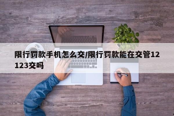 限行罚款手机怎么交/限行罚款能在交管12123交吗