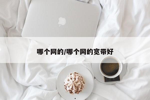哪个网的/哪个网的宽带好