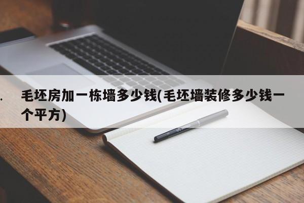 毛坯房加一栋墙多少钱(毛坯墙装修多少钱一个平方)