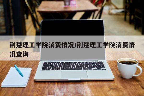 荆楚理工学院消费情况/荆楚理工学院消费情况查询
