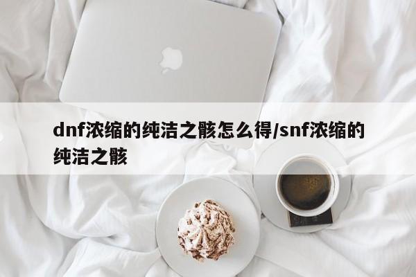 dnf浓缩的纯洁之骸怎么得/snf浓缩的纯洁之骸